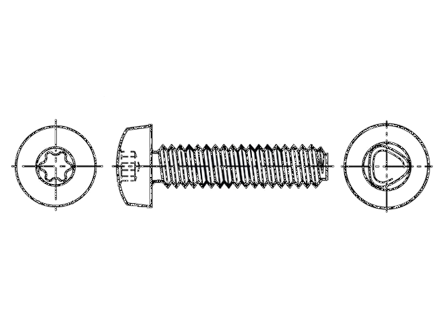 Schroef; voor metaal; 5x40; Kop: cilinder; Torx®; TX25; staal; zink Schroef; voor metaal; 5x40; Kop: cilinder; Torx®; TX25; staal; zink